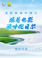 1080HD手机在线观看