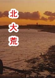 超清HD高清在线观看
