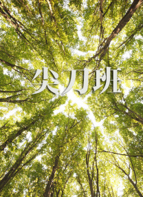 DVD高清完整版